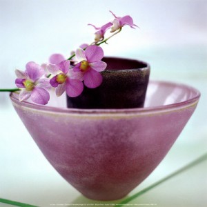 orchids-by-h-orth