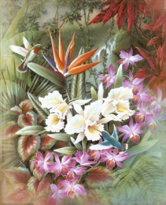 t-chiu-in-the-tropics