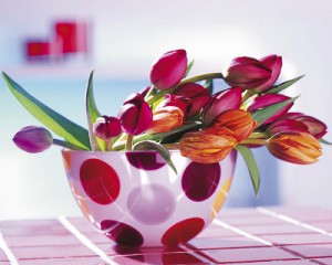 tulips-and-dots